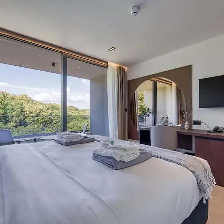 Level 5 - Adults Only 4* Ρόβινι